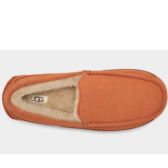 UGG Ascot Men's Slipper - Picture 2 of 7
